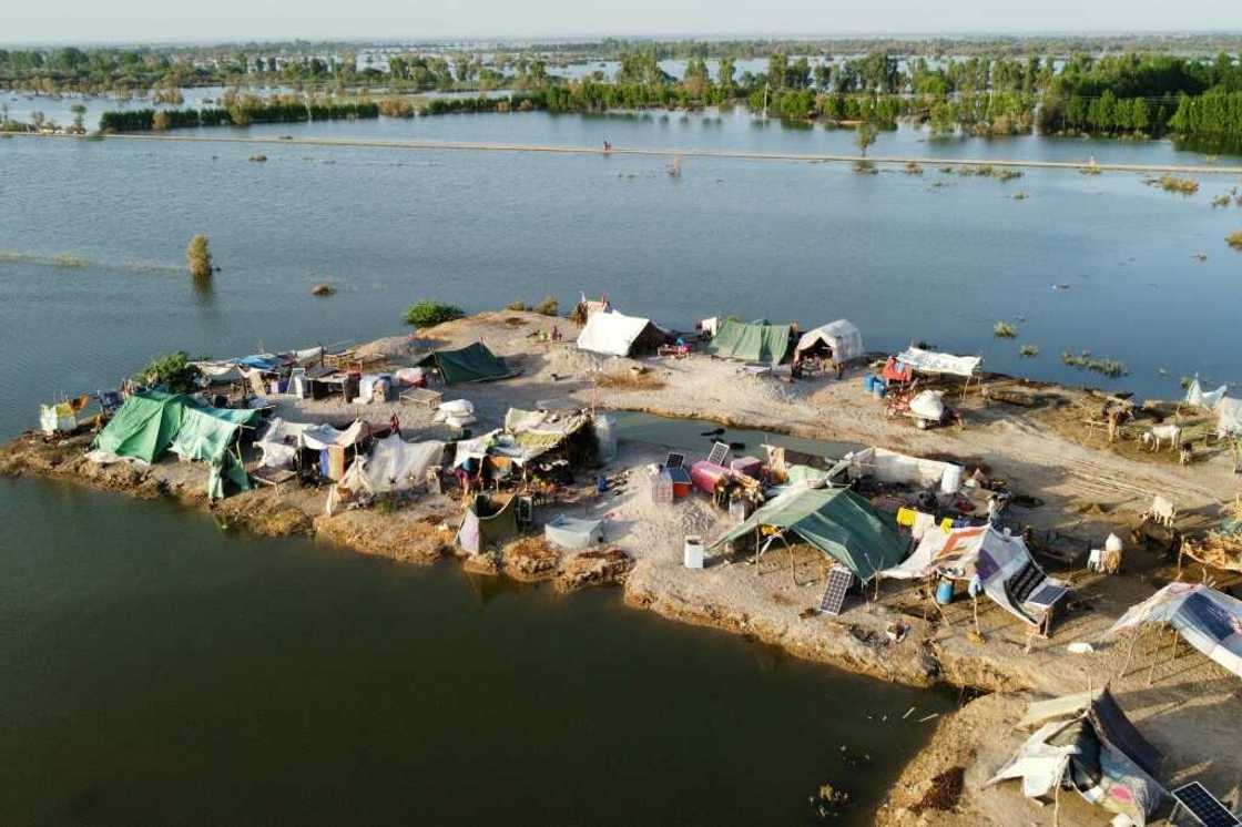The flooded farmlands have become breeding pools for swarms of flies and mosquitos, with outbreaks of dengue reported The flooded farmlands have become breeding pools for swarms of flies and mosquitos, with outbreaks of dengue reported