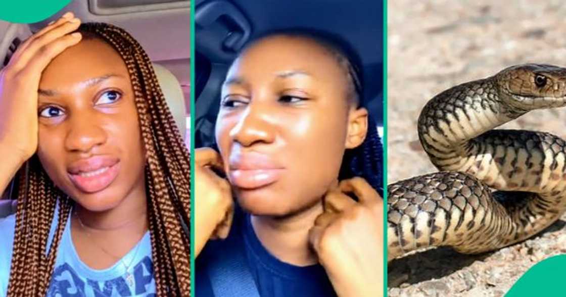Lady shares the signs that hinted about snakes' presence in her house. Lady shares the signs that hinted about snakes' presence in her house.