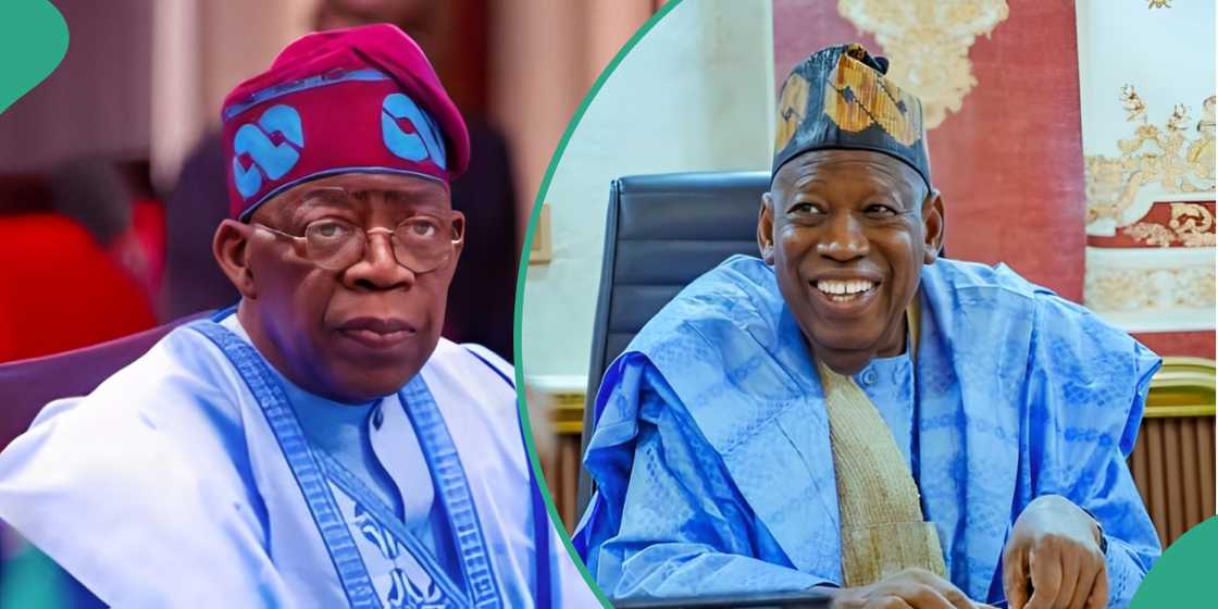 2027: Lamido shares how Ganduje, others are working for Tinubu, weakening opposition 2027: Lamido shares how Ganduje, others are working for Tinubu, weakening opposition