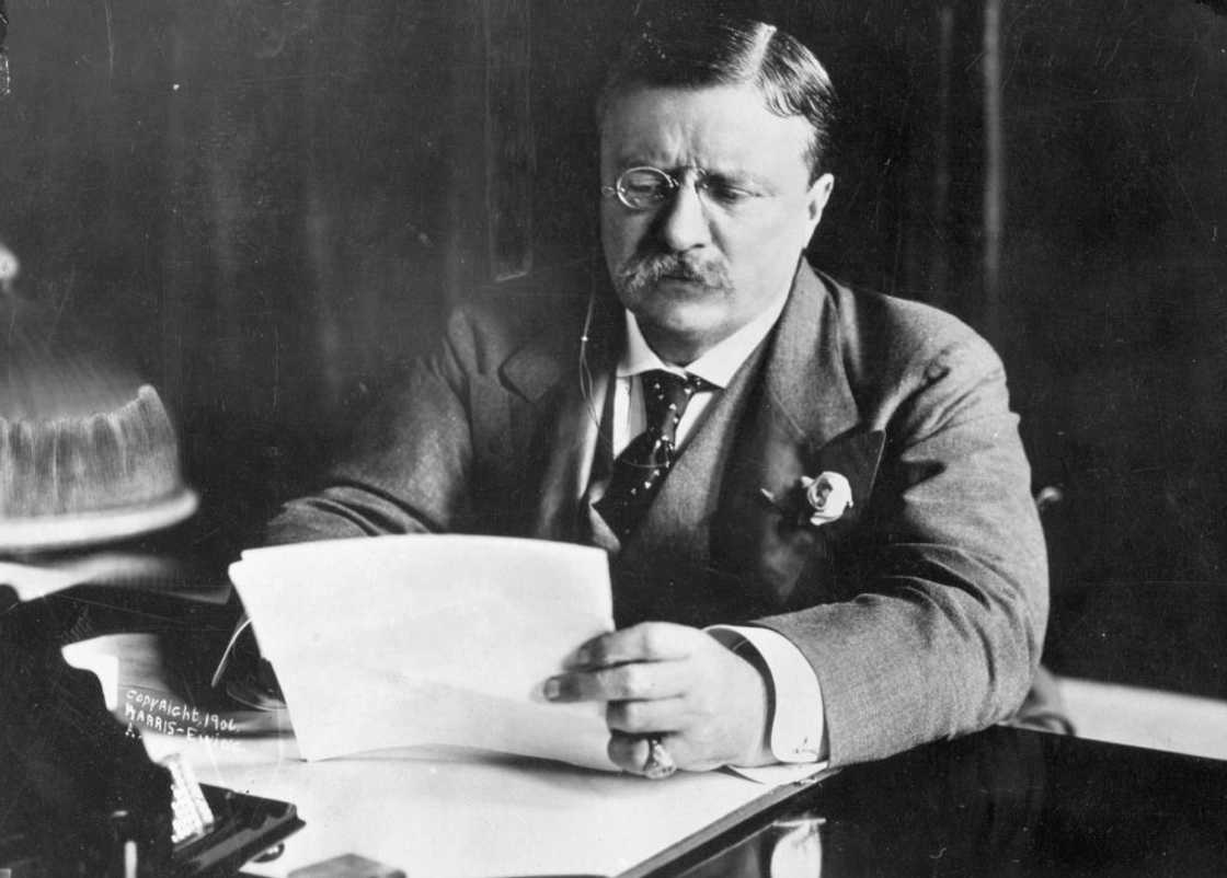 Theodore Roosevelt sitting at his desk working