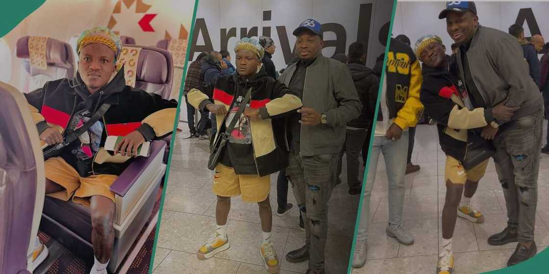 Portable Zazu Portable Zazu