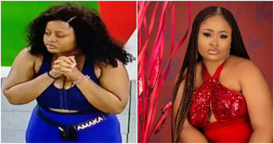 Amaka, Biggie, BBNaija Amaka, Biggie, BBNaija