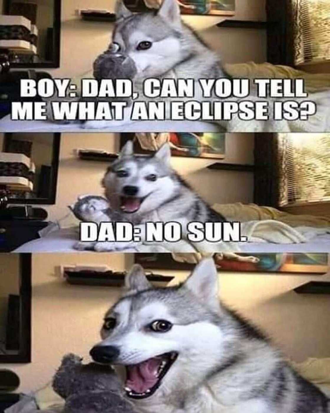 Nerdy memes Nerdy memes