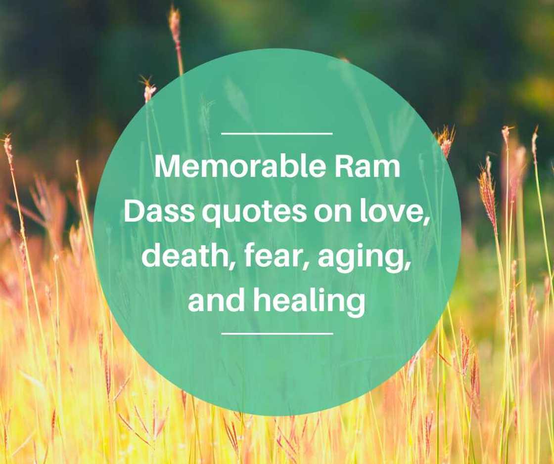 Ram Dass quotes Ram Dass quotes