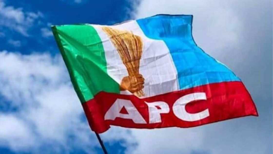 APC flag