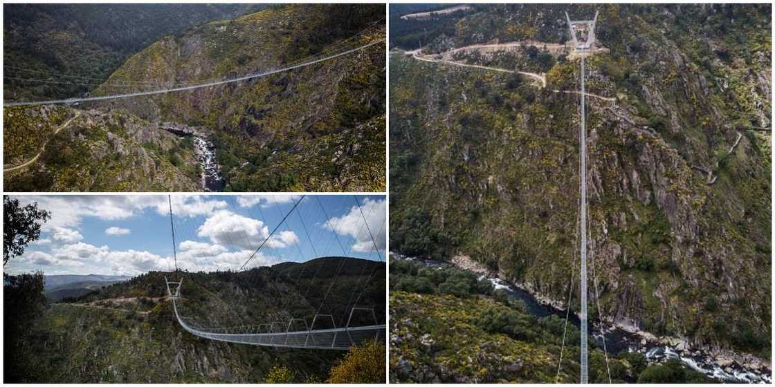 Incredible Photos of the N1 Billion World's Longest Suspended Pedestrian Bridge Set to be the Next Big Thing Incredible Photos of the N1 Billion World's Longest Suspended Pedestrian Bridge Set to be the Next Big Thing