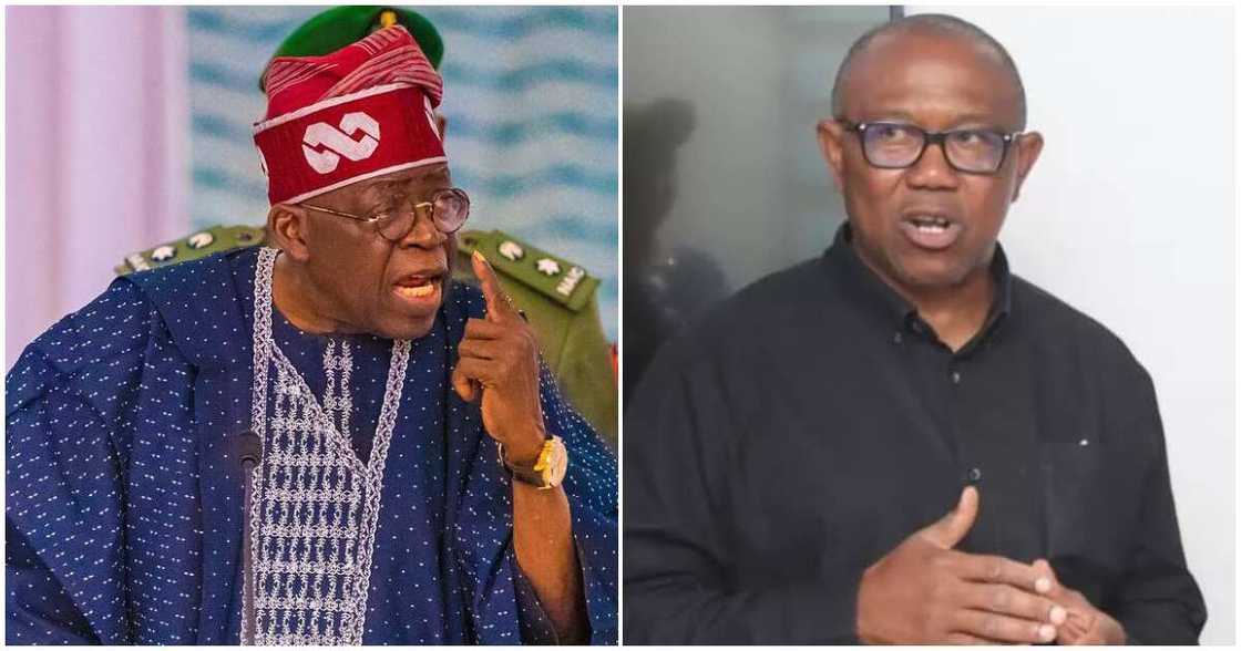 Bola Tinubu/Latest about Bola Tinubu Bola Tinubu/Latest about Bola Tinubu