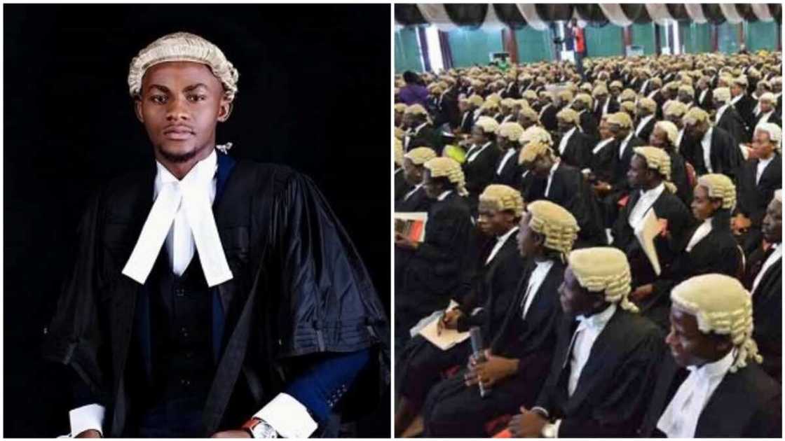 A collage of Ugochukwu and lawyers in the courtroom. Photos sources: The Nation/Business Day