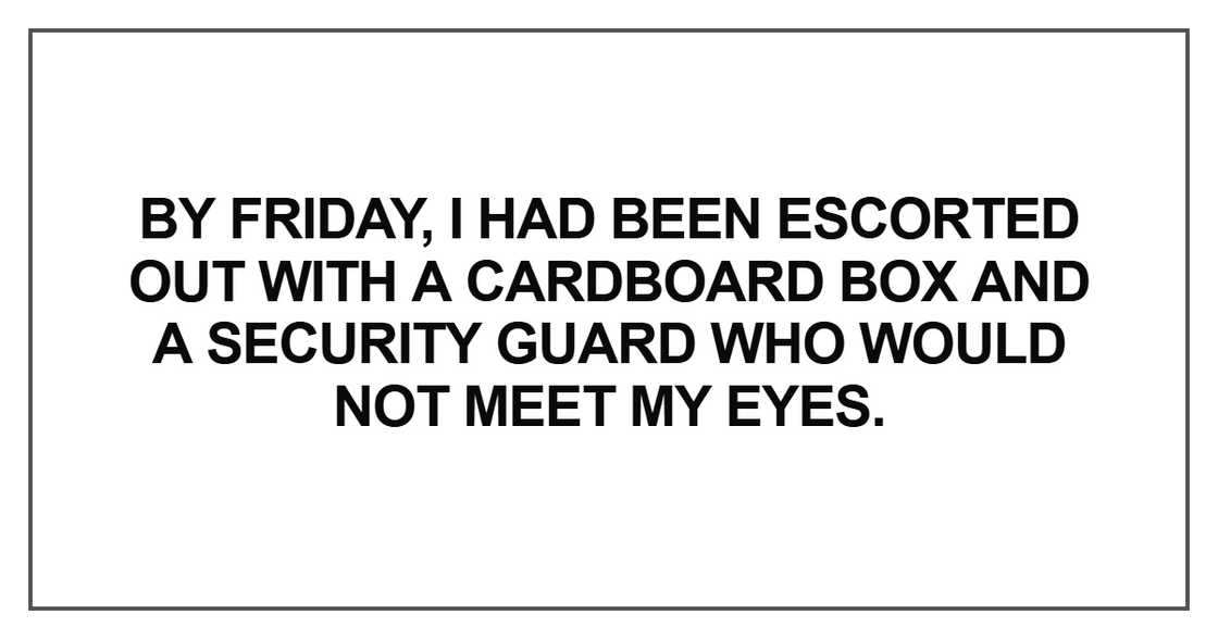 By Friday, I had been escorted out with a cardboard