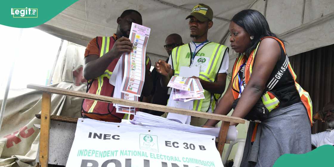 All you need to vote in Edo governorship election All you need to vote in Edo governorship election