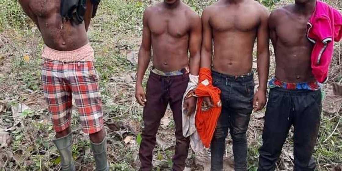 An kama wasu mutane huɗu da laifin noman tabar wiwi An kama wasu mutane huɗu da laifin noman tabar wiwi