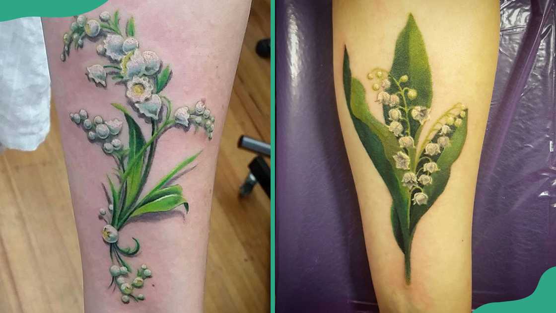 Realistic Lily of the Valley Realistic Lily of the Valley