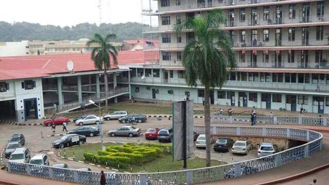 Coronavirus: UCH shuts down major operations as doctors self-isolate Coronavirus: UCH shuts down major operations as doctors self-isolate