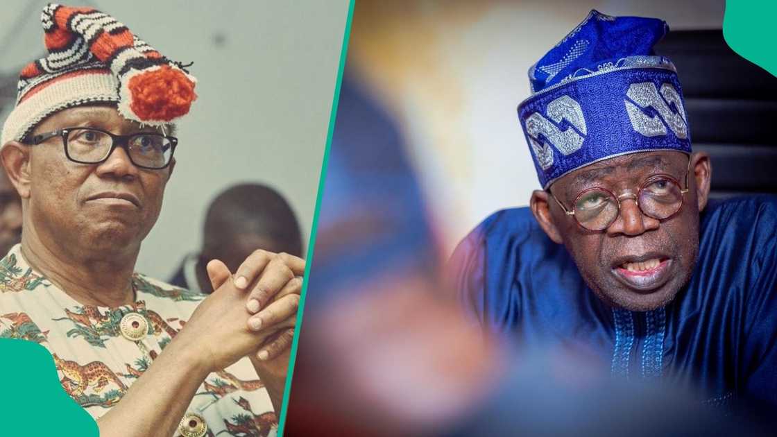 Former Communications Minister Adebayo Shittu predicts who is likely to win the South-East between Peter Obi and President Bola Tinubu in 2027. Former Communications Minister Adebayo Shittu predicts who is likely to win the South-East between Peter Obi and President Bola Tinubu in 2027.
