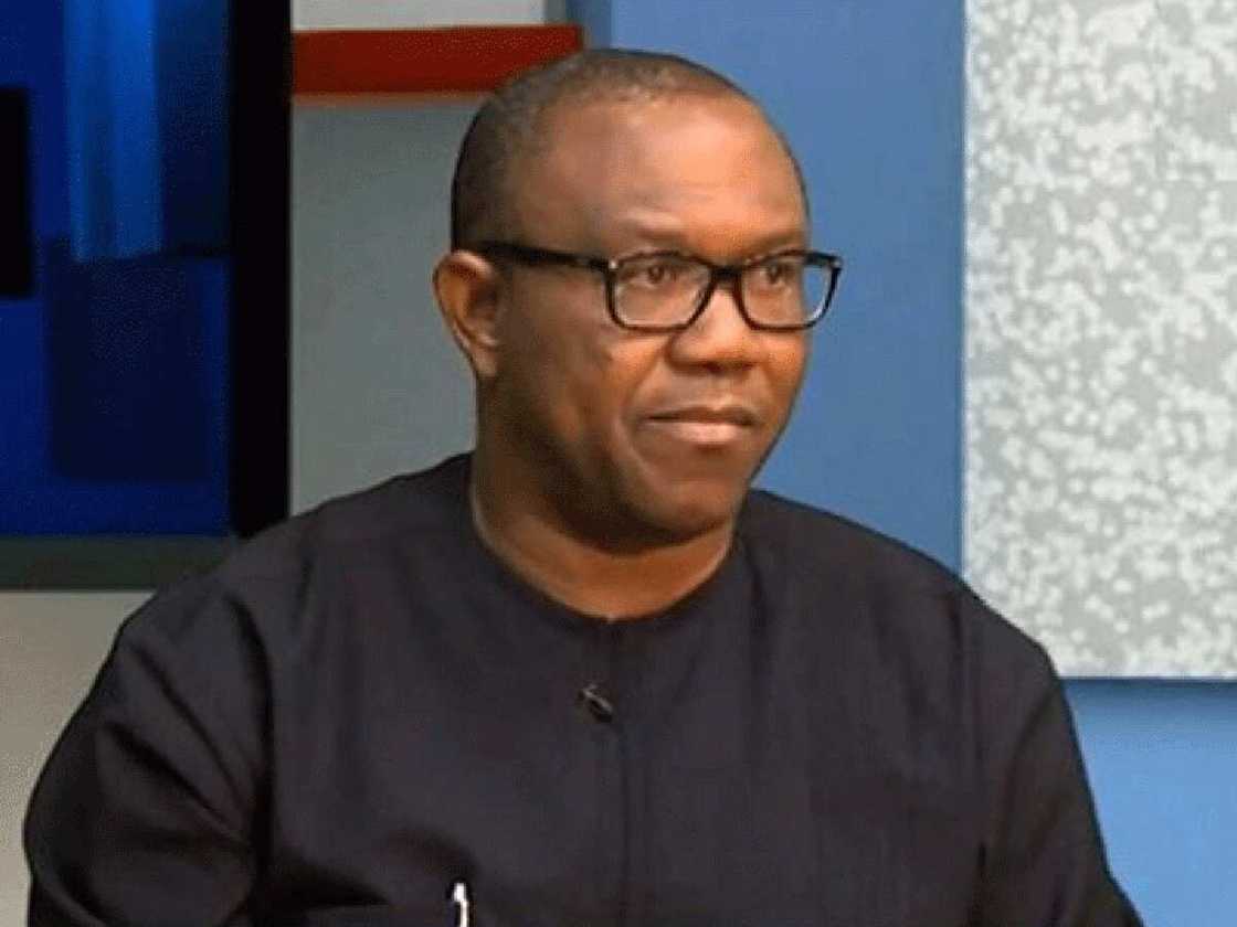 Peter Obi/Labour Party/Nyesom Wike/Rabiu Kwankwaso/APC/PDP/NNPP/2023