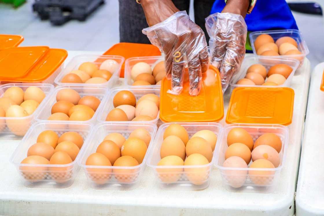 Right to Protein Nigeria & Lagos Food Bank initiative shares protein-rich relief to households Right to Protein Nigeria & Lagos Food Bank initiative shares protein-rich relief to households