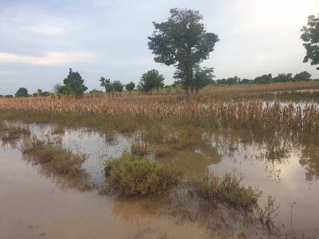 Ambaliyar ruwa