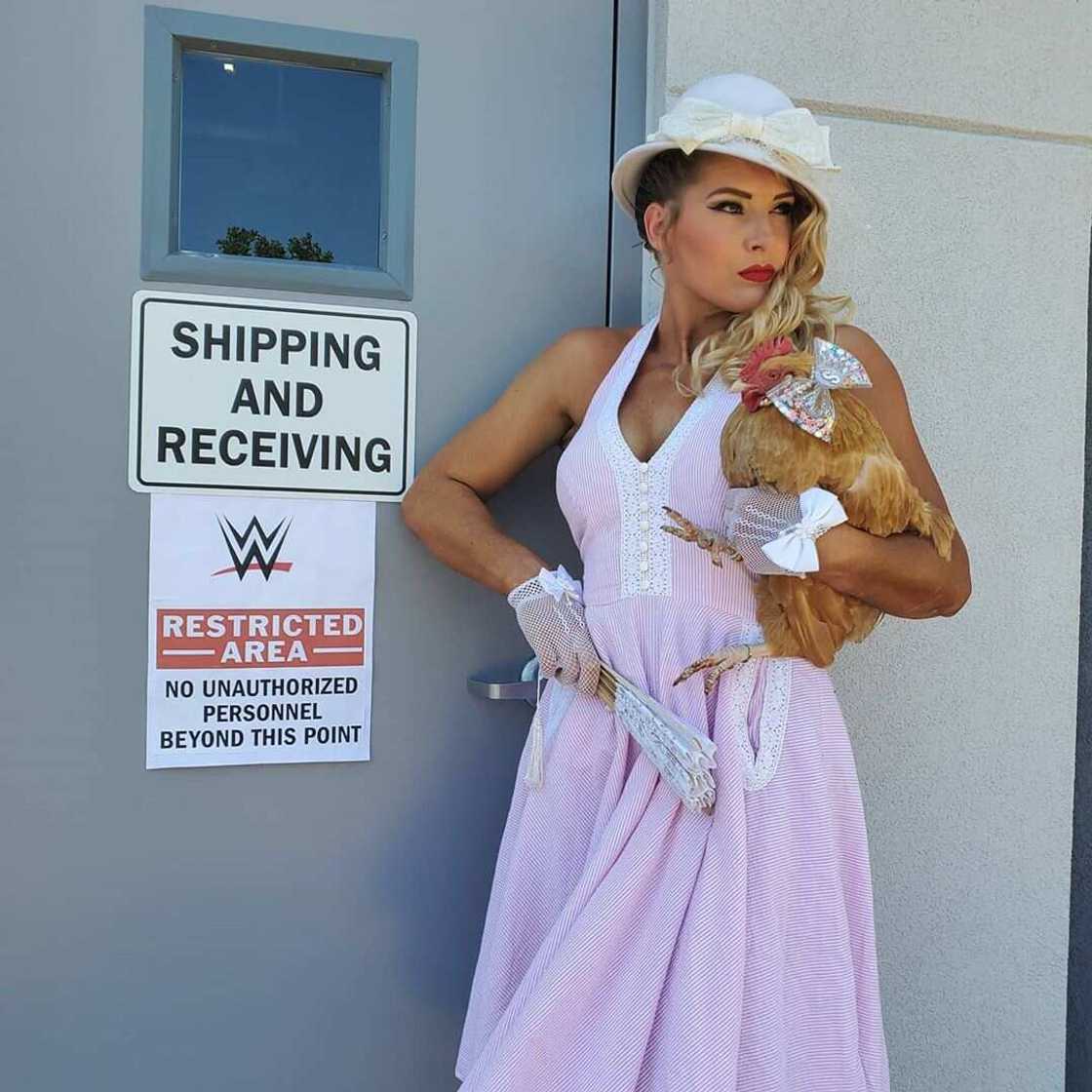 wwe Lacey Evans wwe Lacey Evans