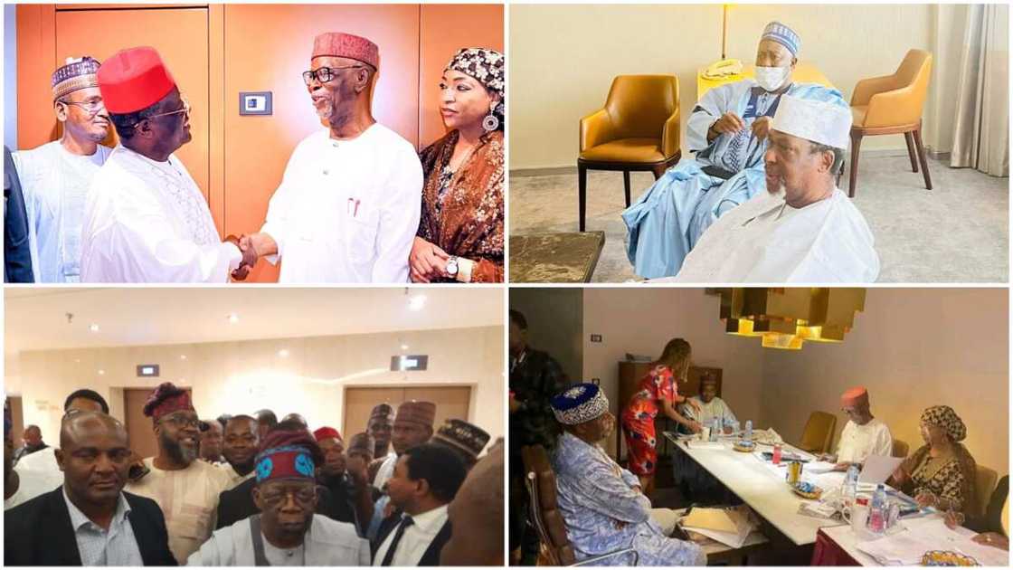 2023 Presidential Election, APC Presidential Aspirants, Screening