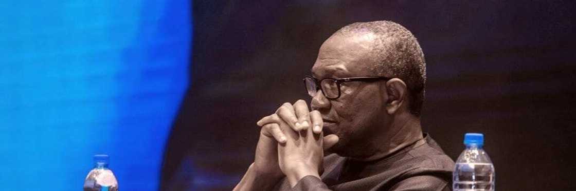 Peter Obi/2023 elections/Labour Party/Arewa