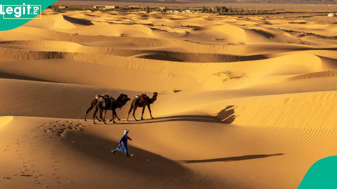 Over 40 People Die in Sahara Desert as Details Emerge