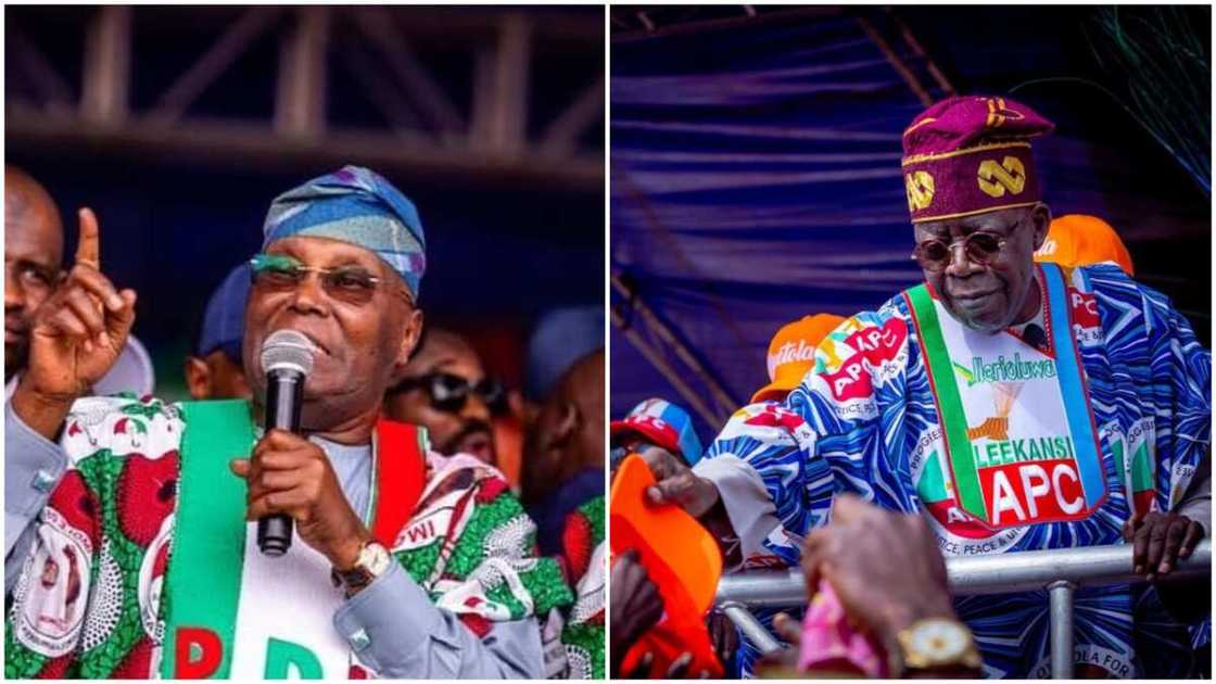 Tinubu/Atiku/APC/PDP/2023 elections Tinubu/Atiku/APC/PDP/2023 elections