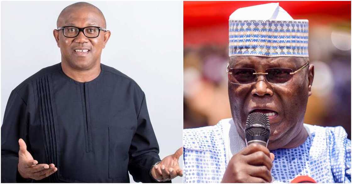 Bola Tinubu, APC, PDP, LP, Peter Obi, Atiku Abubakar, 2023 election Bola Tinubu, APC, PDP, LP, Peter Obi, Atiku Abubakar, 2023 election