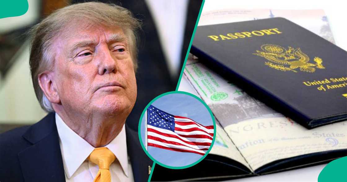US shares six activities that cannot be done on visitor visa. US shares six activities that cannot be done on visitor visa.