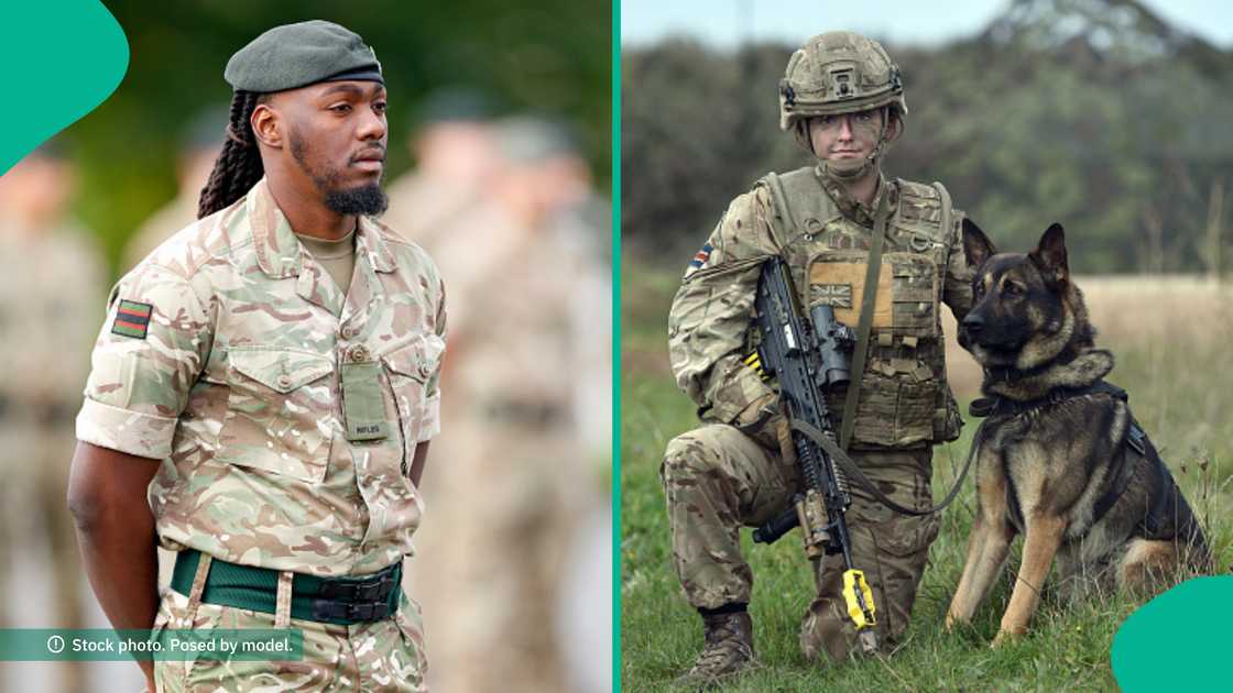 UK military shares details on earnings of dog handler, veterinary nurse and air conditioning fitter in the Army