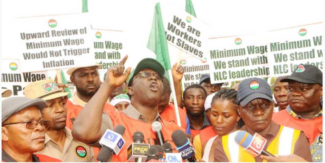 NLC, ASUU, NASU