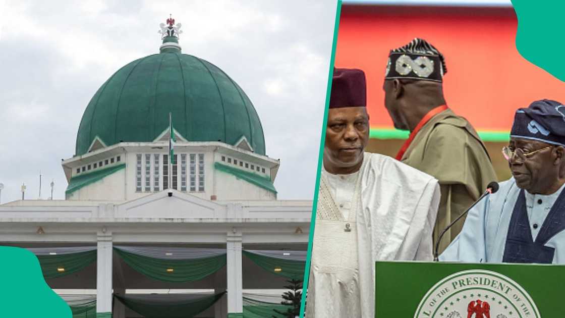 Bola Tinubu da Kashim Shettima bayan lashe zaben tsaida gwani a Najeriya Hoto: Getty Images Bola Tinubu da Kashim Shettima bayan lashe zaben tsaida gwani a Najeriya Hoto: Getty Images