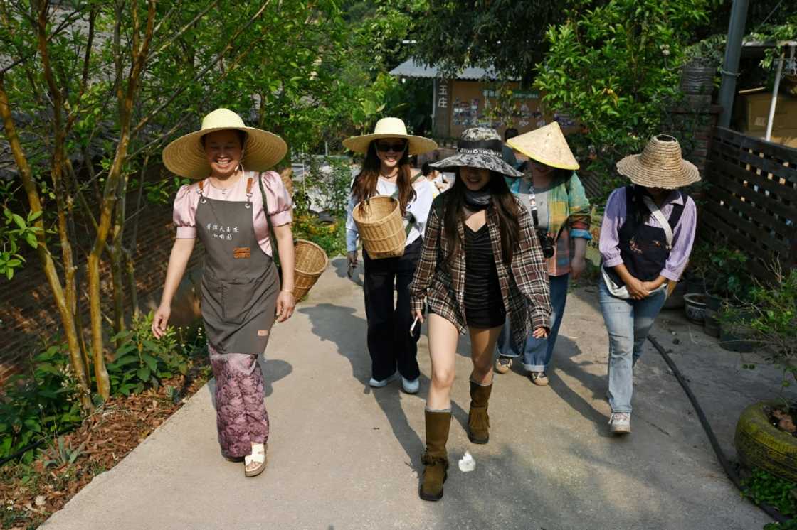 Plantation owner Yu Dun (L) taking visitors on a tour of the Tianyuzhuang coffee plantation in Pu’er Plantation owner Yu Dun (L) taking visitors on a tour of the Tianyuzhuang coffee plantation in Pu’er