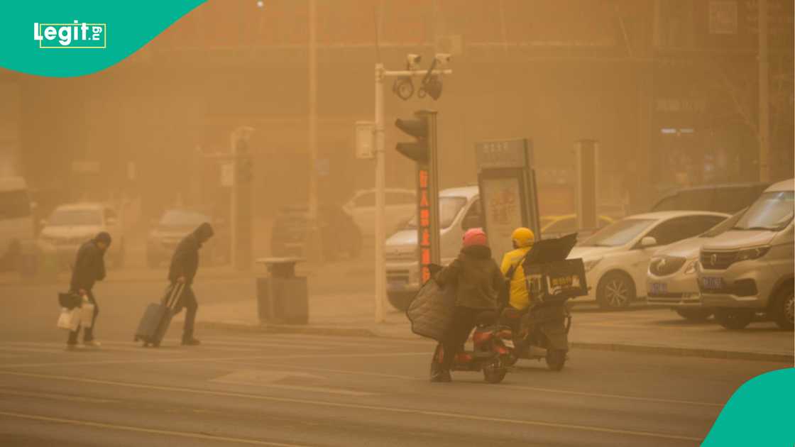 39 Confirmed Dead After Wildfires and Dust Storms Damaged 400 Homes, Location Announced 39 Confirmed Dead After Wildfires and Dust Storms Damaged 400 Homes, Location Announced