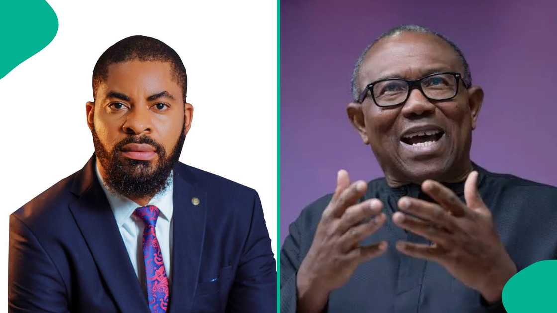 Deji Adeyanju alleges Peter Obi offered him money during a pre-election meeting, sparking fresh controversy in Nigerian politics.