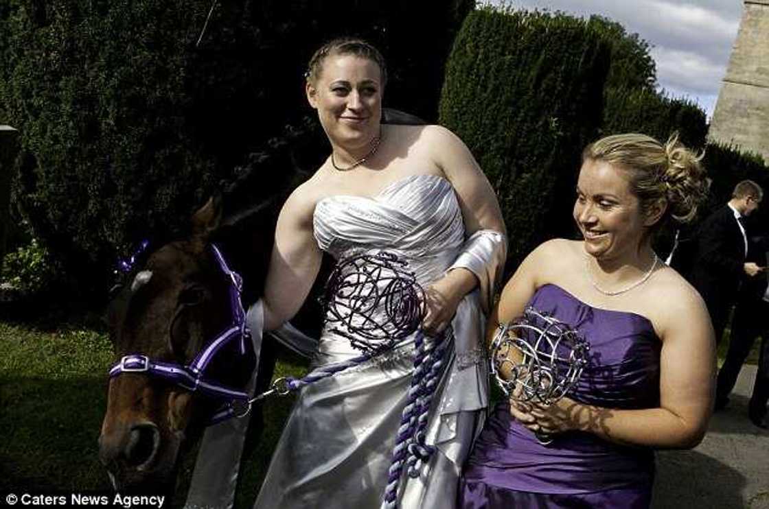 Couples choose horse as bridesmaid Couples choose horse as bridesmaid