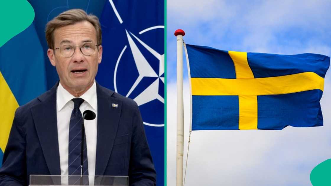 Sweden publishes 21 categories of foreigners exempt from work permit requirements