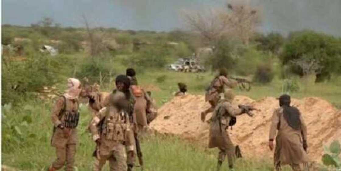Boko Haram: 'Yan ta'adda sun kashe mutum 10, sun yi garkuwa da manoma Boko Haram: 'Yan ta'adda sun kashe mutum 10, sun yi garkuwa da manoma