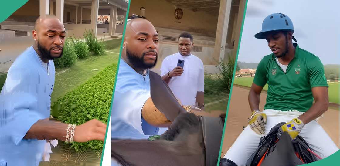 Davido refuses to touch a horse Davido refuses to touch a horse