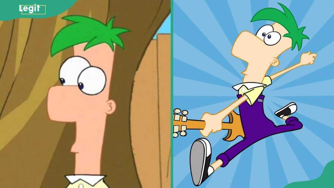 Ferb staring and playing guitar Ferb staring and playing guitar