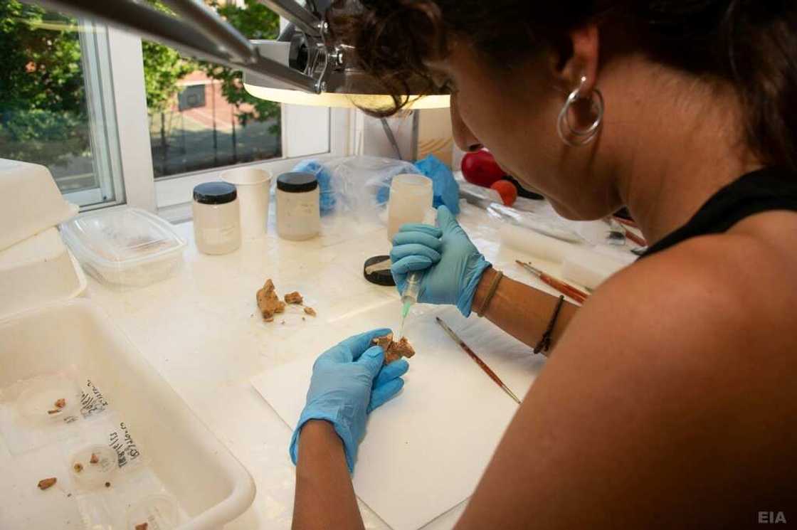 Until now, the oldest hominid fossil found in Europe was a jawbone which was determined to be 1.2 million years old Until now, the oldest hominid fossil found in Europe was a jawbone which was determined to be 1.2 million years old