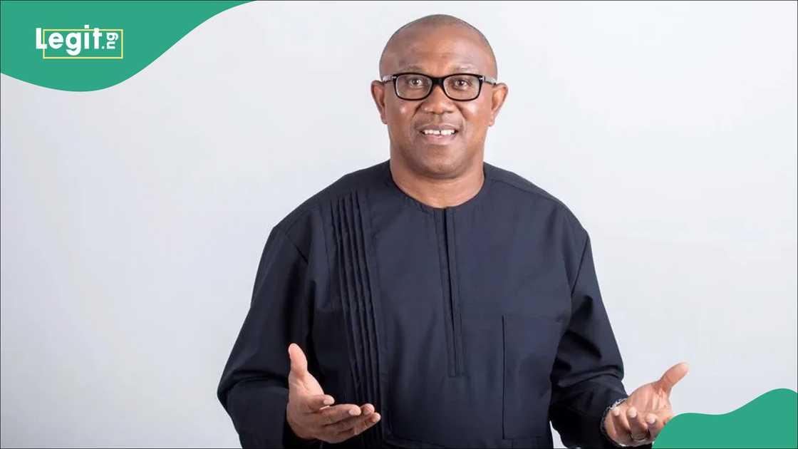 Peter Obi tells FG to go after traitors of Nigerian state Peter Obi tells FG to go after traitors of Nigerian state