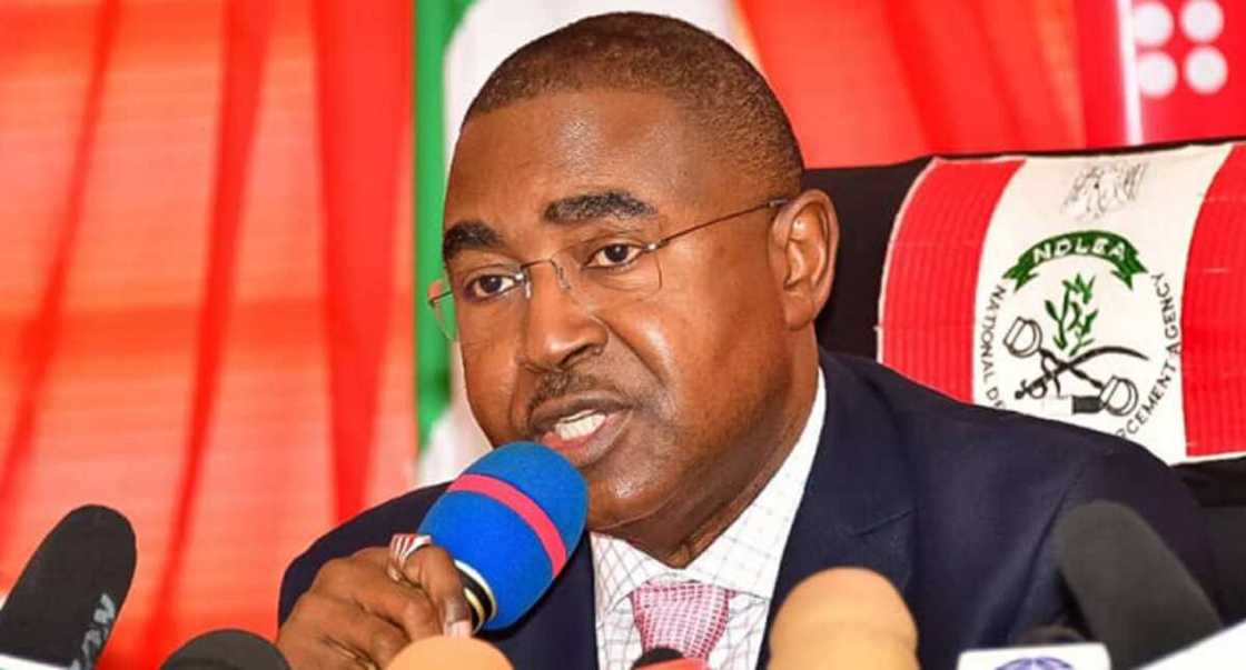 Buba Marwa Buba Marwa