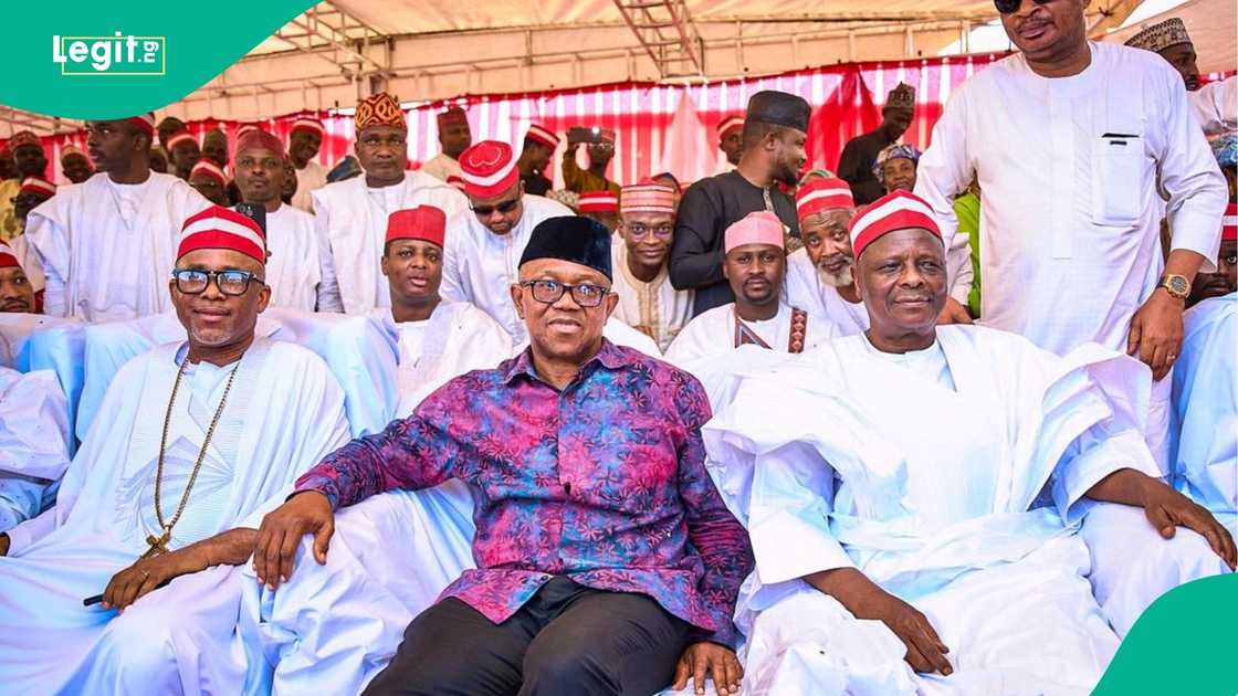 Loyalty battle erupts in Kano after Kwankwaso joins NDC