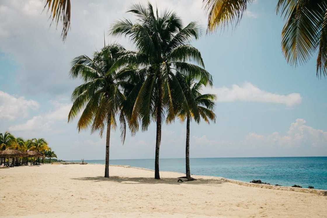 best honeymoon places best honeymoon places