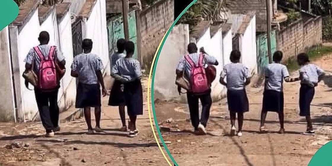Boy criticised for carrying female classmates' bags Boy criticised for carrying female classmates' bags
