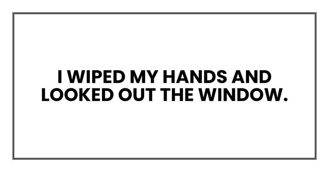 I wiped my hands and looked out the window.