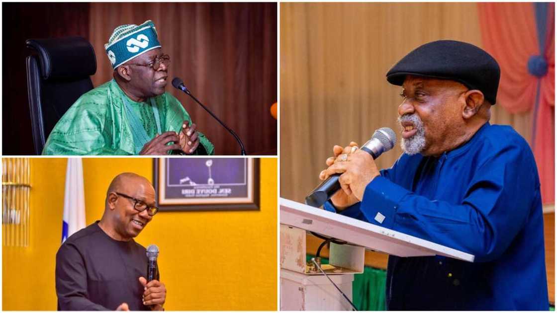 Chris Ngige/Peter Obi/Bola Tinubu/APC/Labour Party/2023 Presidential Election