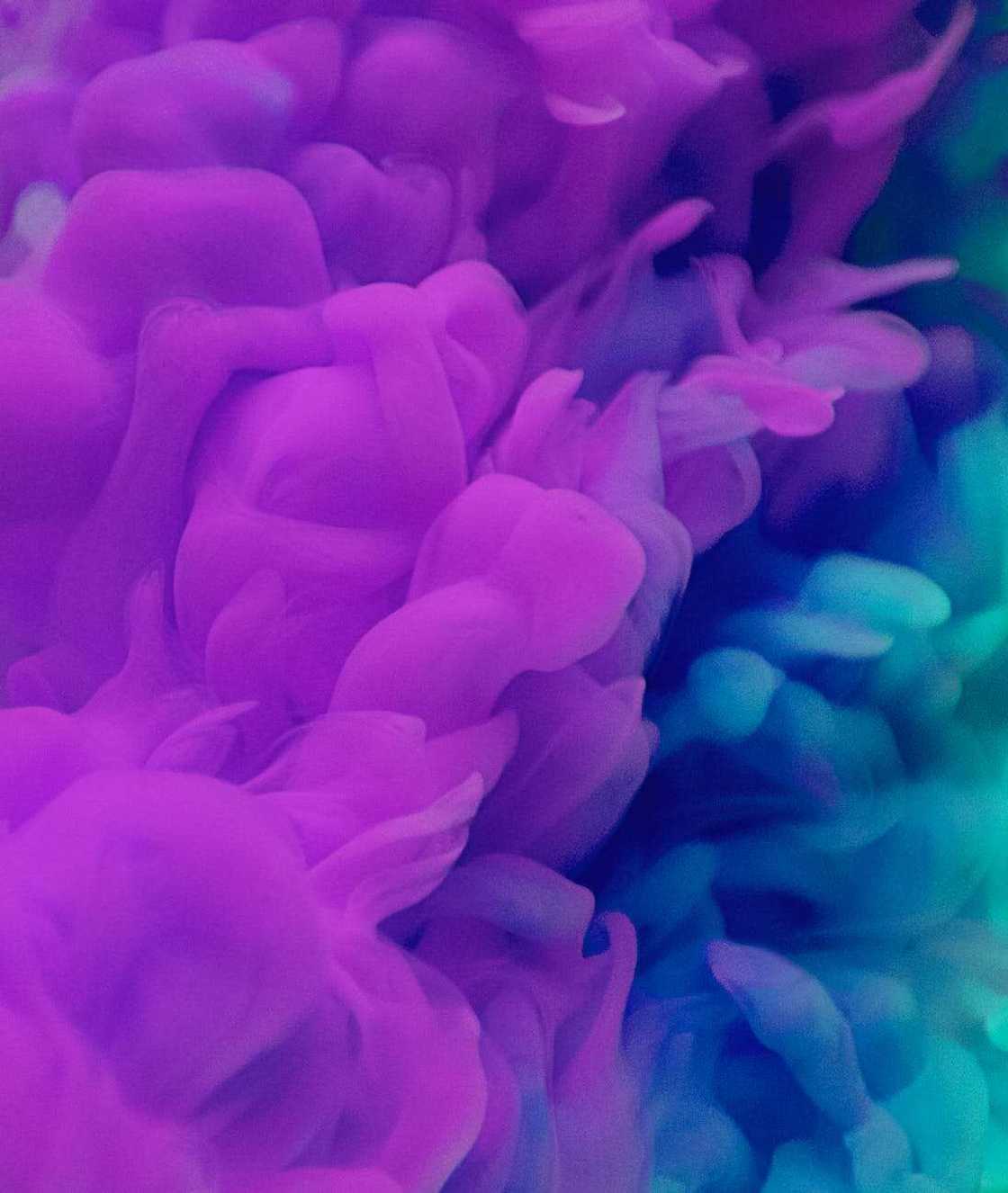 Dilute the paint Dilute the paint