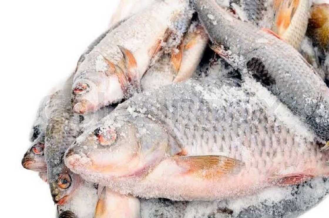 Yadda Najeriya ta shigo da kifin sama da N100bn daga kasashe 10 na waje cikin wata 6 Yadda Najeriya ta shigo da kifin sama da N100bn daga kasashe 10 na waje cikin wata 6