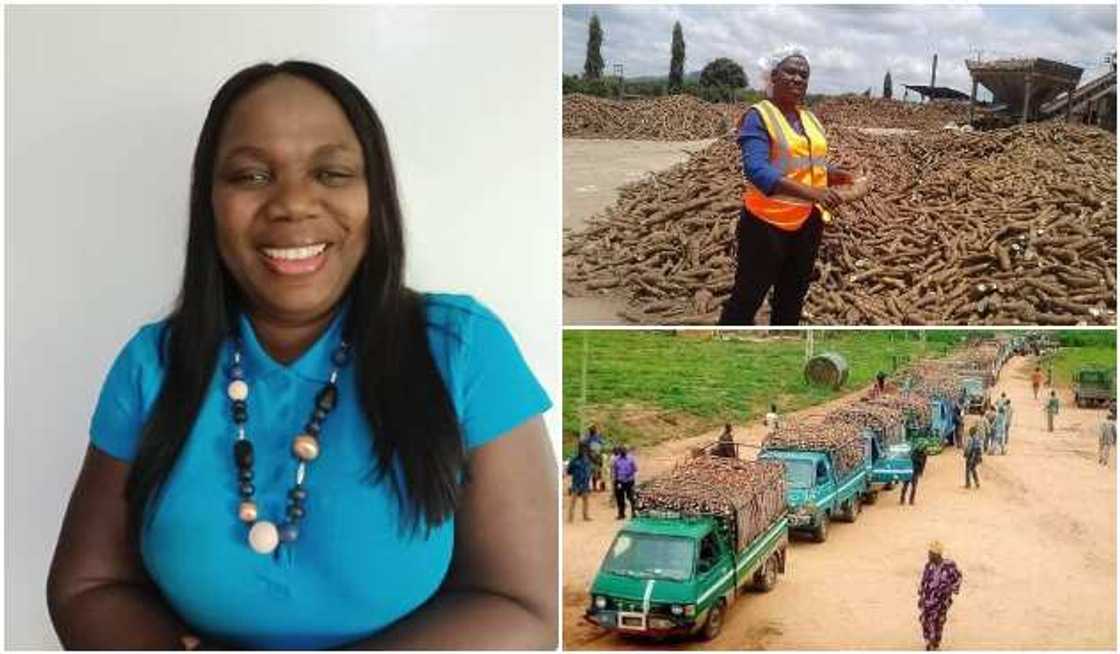 Yemisi Iranloye Yemisi Iranloye